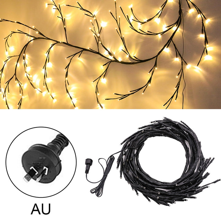 Luminous Willow Branch