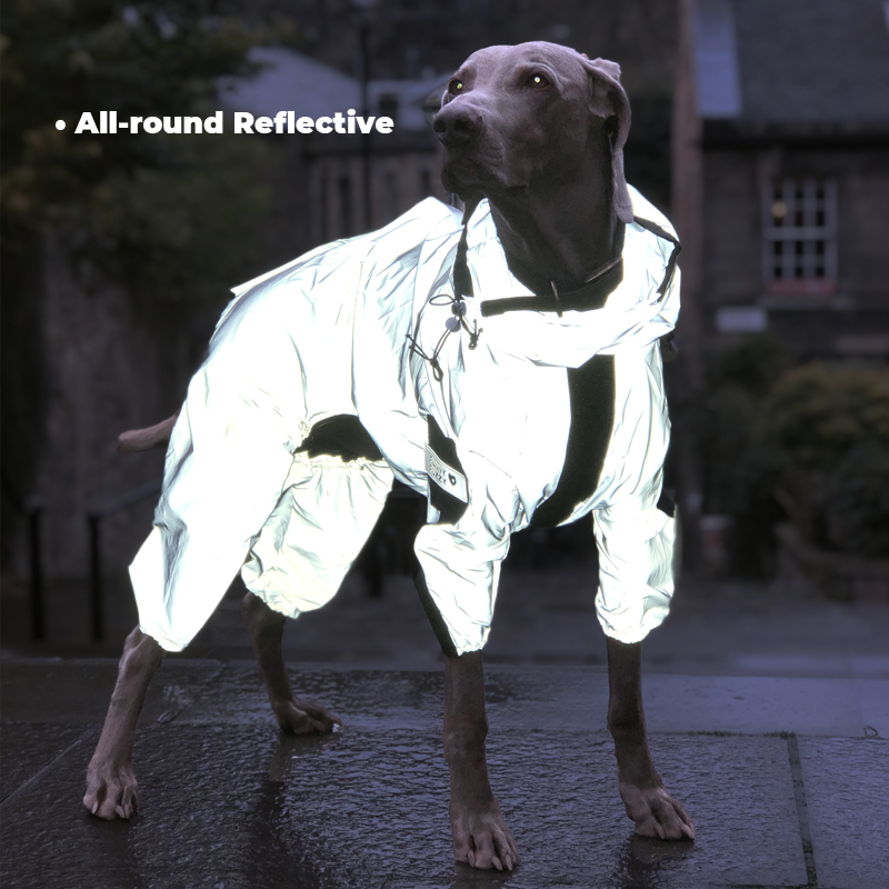 SafePup Reflective Jacket