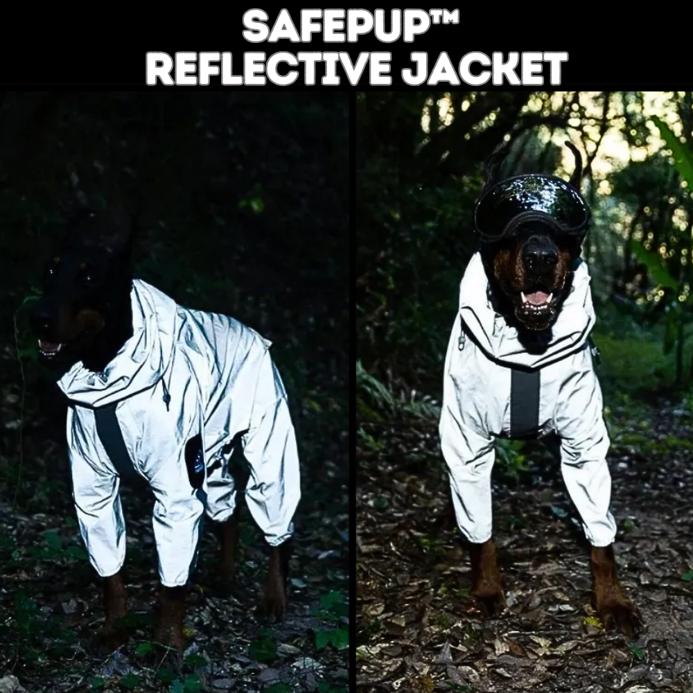 SafePup Reflective Jacket